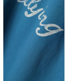 AMERICAN HOLIC ＰＯＲＴＬＡＮＤロゴカットプルオーバー