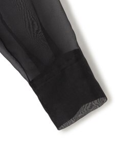 BEIGE， ERICA / シルクシースルークルーネックブラウス