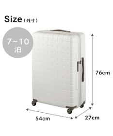ACE BAGS & LUGGAGE Proteca 360G4 スーツケース 日本製 100L 02424 プロテカ