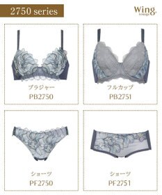 Wing Wing Lesiage　【2750シリーズ】ブラジャー　脇すっきり　ウイング／ワコール　PB2750