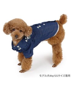 PET PARADISE ペットパラダイス 刺繍BIG襟 ジャケット 小型犬