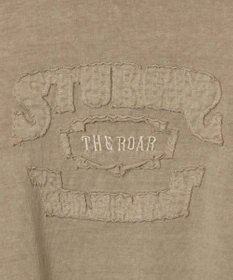 WEGO ピグメントダメージアップリケT（S）