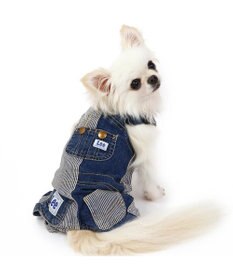 PET PARADISE Ｌｅｅ パッチワーク オーバーオール パンツつなぎ【小型犬】