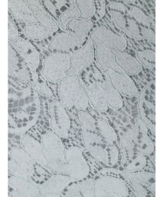 Green Parks ｅｆ－ｄｅ　レースブラウス