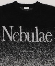 WEGO 【ユニセックス着用ITEM/MLサイズ展開】ファジーグラデーションプルオーバー