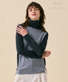 BEIGE， 【WEB限定・洗える】ROGAN / バイカラーウールハイネックニット