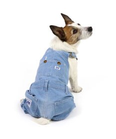 PET PARADISE Lee ライトデニム オーバーオール 小型犬