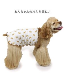 PET PARADISE ペットパラダイス くまちゃん ペティヒート  腹巻 中型犬
