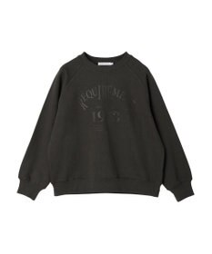 AMERICAN HOLIC ラグランロゴスウェット2