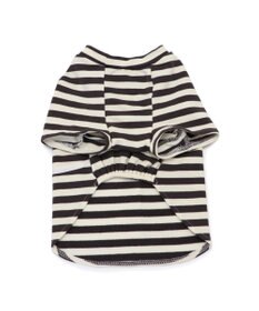 PET PARADISE Lee ショルダー ボーダー Ｔシャツ 小型犬