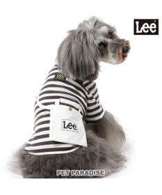 PET PARADISE Lee ショルダー ボーダー Ｔシャツ 小型犬