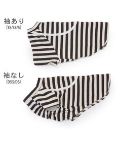 PET PARADISE Lee ショルダー ボーダー Ｔシャツ 小型犬