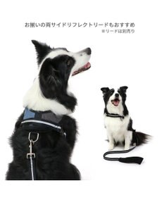 PET PARADISE ヘッドインハーネス  【Ｍ】オレンジ / ブルー 【中型犬 大型犬】