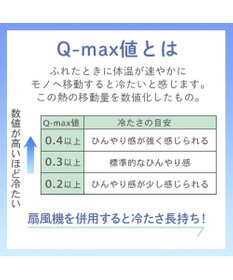 PET PARADISE ペットパラダイス もちっと クール ブランケット 《苺柄》