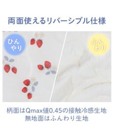 PET PARADISE ペットパラダイス もちっと クール ブランケット 《苺柄》
