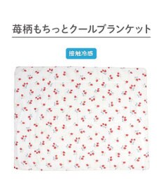 PET PARADISE ペットパラダイス もちっと クール ブランケット 《苺柄》