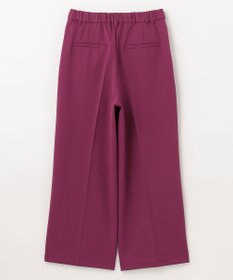 ANY 【ウエストゴム/ストレッチ/裏起毛】シークレットウォーム　ワイド