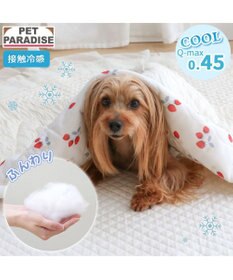 PET PARADISE ペットパラダイス もちっと クール ブランケット 《苺柄》