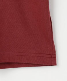 JOSEPH ABBOUD MOUNTAIN 【JAPANファブリック/吸水速乾】プレーティング天竺アウトドア Tシャツ