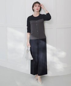 ANY SIS L ビスチェ風 長袖 ニット