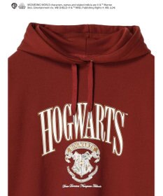 Green Parks ハリーポッター／裏毛ロゴフーディー