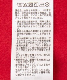 Green Parks ＦＡＮＴＡＳＩＡ／ワンポイントプリントパーカー