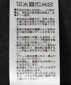 AMERICAN HOLIC フレンチロゴ裏起毛プルオーバー