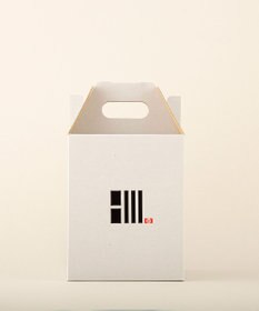 ちょうちん堂 【cocolan Muji】恐竜 ちょうちん ライト