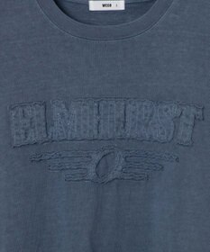 WEGO ピグメントダメージアップリケT（S）