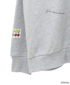 Green Parks １０ｔｈベイマックス／ランダムロゴプルオーバー