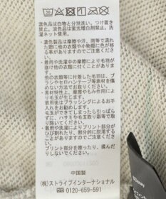 Green Parks １０ｔｈベイマックス／ランダムロゴプルオーバー