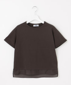 J.PRESS LADIES 【WEB限定カラーあり・洗える】コットンスムース シアーデザイン カットソー