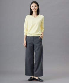 J.PRESS LADIES 【ご好評につき新色追加！・WEB限定カラーあり・洗える】PRINCE Vネック ニット