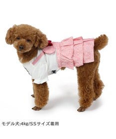 PET PARADISE ディズニー ミニーマウス アンティーク柄 ワンピース 【小型犬】