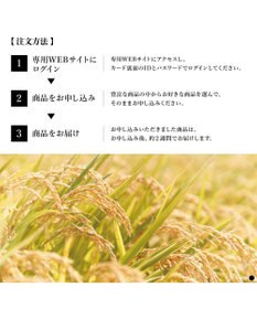 PRESENTERS ROOM AKOMEYA TOKYO ギフトカタログ しずく【ギフトラッピング対象外商品】