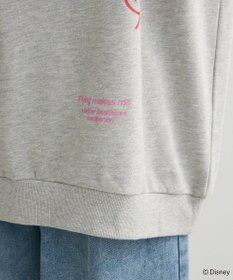 Green Parks １０ｔｈベイマックス／ランダムロゴプルオーバー