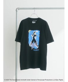 Green Parks ■Ｄａｖｉｄ　Ｂｏｗｉｅ　ＴＯＵＲ　ＴＥＥ