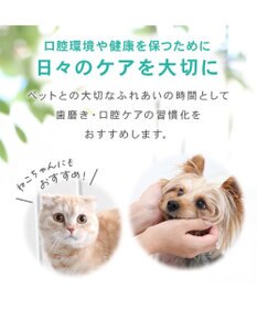 PET PARADISE ペットパラダイス デンタル ブラッシングジェル