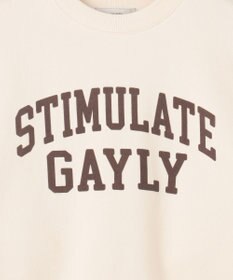 ANY 【洗濯機可】裏起毛スウェットロゴプルオーバー