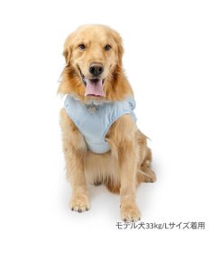 PET PARADISE ペットパラダイス 花刺繍 ベスト ハーネス SM 中型犬