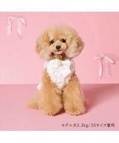 PET PARADISE cherircouture パールリボン ベスト 《ホワイト》 小型犬