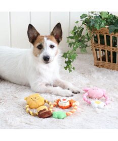 PET PARADISE ディズニー くまのプーさん ロープ おもちゃ 《プーさん/ピグレット/ティガー》