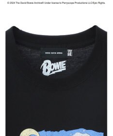 Green Parks ■Ｄａｖｉｄ　Ｂｏｗｉｅ　ＴＯＵＲ　ＴＥＥ