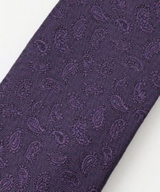 J.PRESS MEN 【J.PRESS 10PLY LUXURY SILK COLLECTION】ソリッドペイズリー ネクタイ