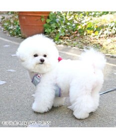 PET PARADISE ディズニー トイ・ストーリー ロッツォ マスコット付き ハーネス Ｓ 小型犬