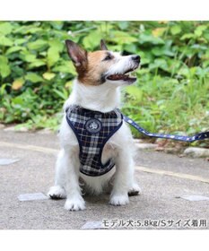 PET PARADISE J.PRESS ビエラチェック ハーネス リード【ＳＳ】小型犬