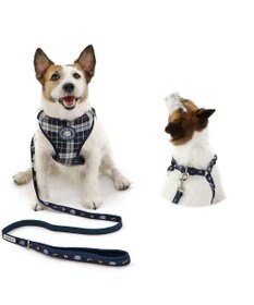 PET PARADISE J.PRESS ビエラチェック ハーネス リード【ＳＳ】小型犬