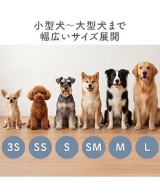 PET PARADISE ペットパラダイス バレエ スリット シューズ  Ｓ