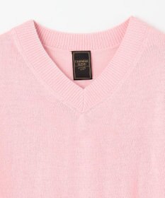 ANY 【手洗い可】イタリーヤーンウールカシミヤミックスＶネックプルオーバー