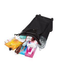 ACE BAGS & LUGGAGE soelte オートゥイユ お買い物キャリーバッグ 21L 機内持込 キャスターストッパー 36002 ソエルテ